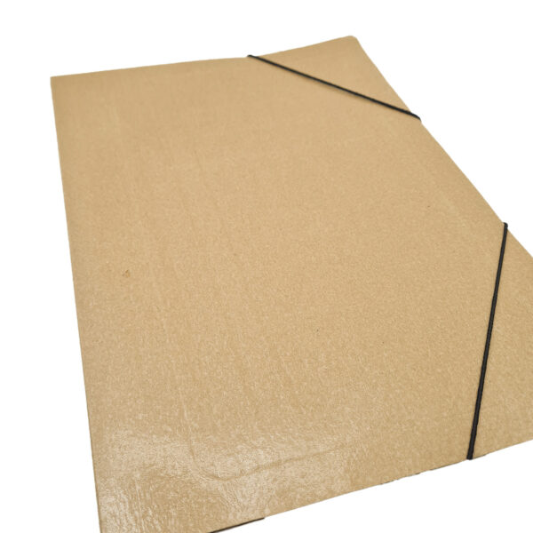 Carpeta Tipo Presphan Plastificada Oficio 3 Solapas Con Elastico. - Imagen 3