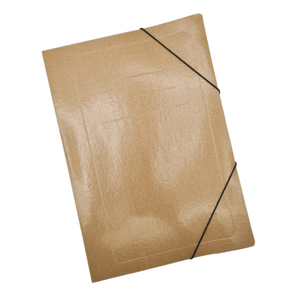 Carpeta Tipo Presphan Plastificada Oficio 3 Solapas Con Elastico.