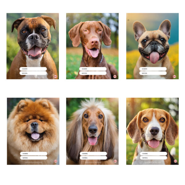 Separadores De Materias N°3 Perritos - Imagen 2