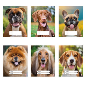 Separadores De Materias N°3 Perritos