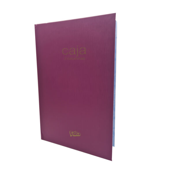 Libro de Caja 3 Columnas  99 Folios