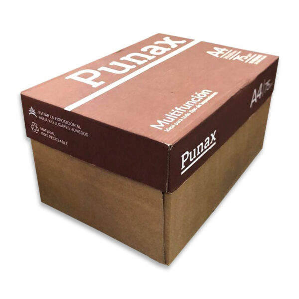Caja Resma Papel Punax A4 75 Gramos 5000 Hojas Caja X 10 U