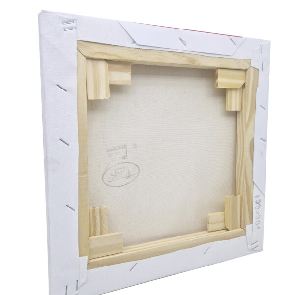 Simple Kit Arte Fibrones Acrílicos + Bastidor 30x30 Pintar - Imagen 3